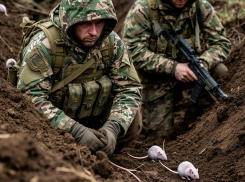 Новости СВО: смертельная болезнь в рядах ВС РФ, бойцы вошли в новое село в Запорожье и сожжение боевиков ВСУ  
