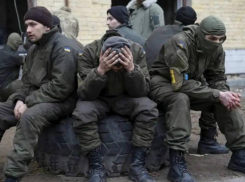 Новости СВО: ВС РФ прорвали крайнюю линию обороны ВСУ в Запорожье, визит Уиткоффа в Москву и смерть «айдаровцев» 