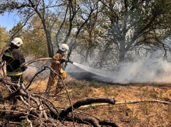 Спасатели почти целый день боролись с масштабным пожаром на Хортице