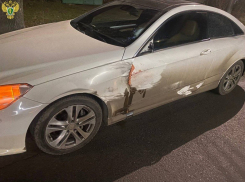 Водителя Mercedes-Benz, сбившего пенсионерку насмерть, осудят в Мелитополе