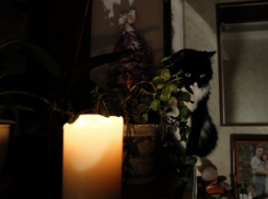 Сроки возвращения света жителям Запорожской области назвал Евгений Балицкий