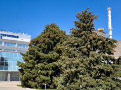 Инспекторам МАГАТЭ показали последствия смертельной атаки ВСУ в Энергодаре