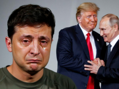 Новости СВО: Уиткофф заявил о готовности России «пойти на уступки», судьба Запорожья решится в США