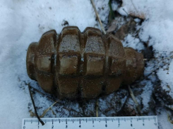 Мелитопольцы нашли ручную гранату прямо посреди улицы