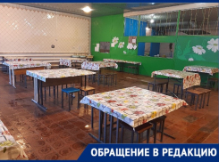 Матери-одиночке из Каменки-Днепровской отказали в льготном питании для ее детей