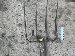 Запорожец насмерть заколол вилами своего дальнего родственника 