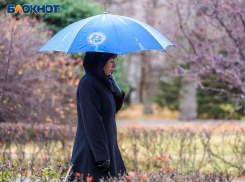 Штормовой ветер ожидается в Запорожской области 