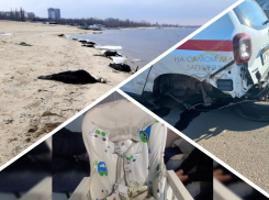 Новости Запорожья: ДТП с пьяными военкомами, смерть ребёнка и массовая гибель бакланов