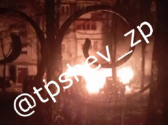 Электрокар от Илона Маска внезапно загорелся в запорожском дворе