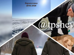 Новости Запорожья: Азовское море заледенело, уход днепрорудненцев из города и подлый поступок охранника