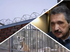 Новости Запорожья: сотрудник ТЦК убил мужчину, восстановление зоопарка и освобождение Гуляйполя к Новому году