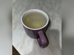 Жителей Мелитополя возмутило качество воды из-под крана