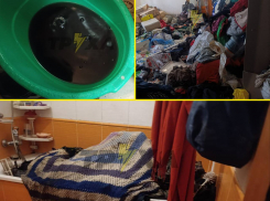 Запорожцы пожаловались на соседа, сдающего квартиру знакомым наркоманам