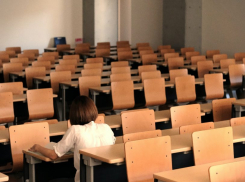 Запорожские вузы в течение двух лет перейдут на новую модель высшего образования