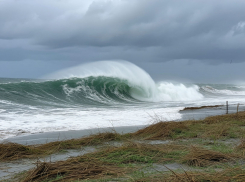 Штормовое предупреждение объявили запорожские спасатели на 26 декабря из-за сильного ветра