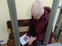 В тюрьму отправится жительница Михайловского округа за перевод ВСУ 1 240 рублей