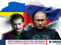 Решается судьба Запорожья: завтра в Стамбуле пройдут переговоры России и Украины