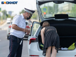 Названо число пьяных водителей на запорожских дорогах 