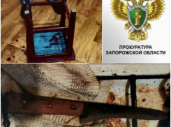 В Бердянске мужчина, зарезавший соседа и напавший на своего знакомого, получил 12 лет тюрьмы