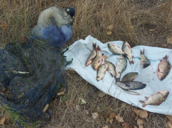 Запорожский браконьер наловил рыбы почти на 50 тысяч рублей 