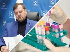 Раскрыта личность сотрудницы запорожского Минздрава, уволить которую требовали на прямой линии Балицкого