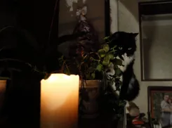 Без света остались жители нескольких запорожских округов вечером 7 февраля