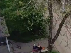 В Запорожье спели русскую песню «Катюша»