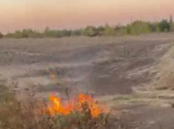 Деда-поджигателя сняли на видео в Запорожье