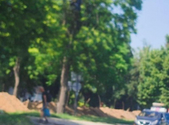 Водители просят обратить внимание на опасную листву на перекрёстке в Запорожье