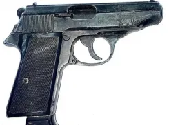 Житель Запорожской области прятал нелегальное оружие в пчелином улье