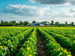 Более ста предостережений Россельхознадзора выдали в Запорожской области 