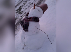 На видео сняли снежного «солевика» в Запорожье