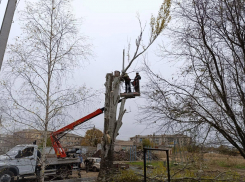 Бригада из Кирова благоустроит пять дворов в Запорожской области 