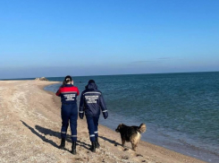 Побережье Бердянской косы укрепят от разрушения и размыва морем