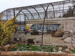 Гибель льва от обстрела ВСУ в Васильевском зоопарке опровергли в администрации округа