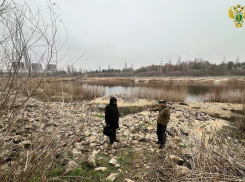 В Энергодаре рыбак получил шесть лет колонии за хранение взрывчатки