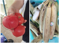 «Куда смотрят власти?»: мелитопольских детей травят в детских садах