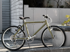 У жительницы Запорожья прямо из-под носа украли велосипед