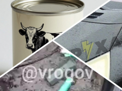 Новости Запорожья: аномальная погода «заморозила» машину, фейк об отравлениях сгущенкой и мины-зажигалки в Васильевке 