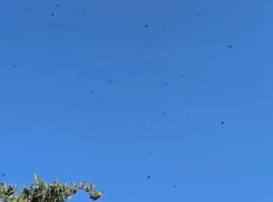 Появилось видео, как обломки украинских дронов посыпались с неба при защите Мелитополя