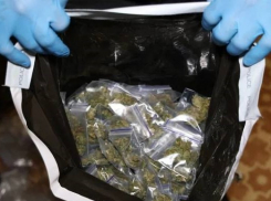 Житель Запорожья хранил у себя дома полкилограмма дурманящего вещества для продажи