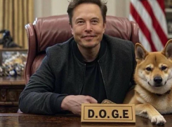 В Украине появится аналог DOGE, созданный вице-премьером из Запорожья Федоровым