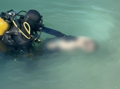 На песчаном карьере в Запорожье утонул 17-летний подросток