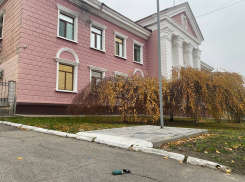 Атакам ВСУ подверглись Каменка-Днепровская и Васильевка