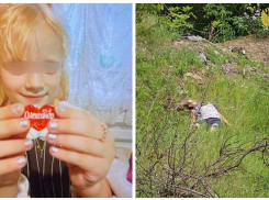 «Её забили насмерть»: что известно о смерти 7-летней девочки из Бердянска