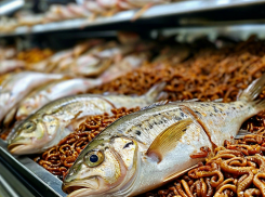 В одном из супермаркетов Запорожья продают рыбу с червями