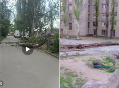 Появились новые подробности урагана в Запорожской области