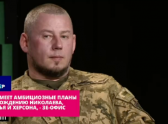 Замглавы офиса Зеленского Палиса: ВС РФ готовятся занять Запорожье