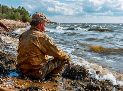Ловить рапаны впервые стали у берегов Азовского моря в Запорожской области 