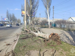 Последствия мощного урагана в Мелитополе и Акимовке показали в МЧС
